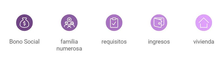 Requisitos para solicitar el Bono Social siendo familia numerosa Requisitos para solicitar el Bono Social siendo familia numerosa