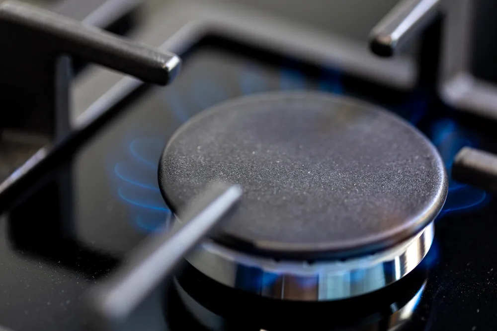 consumo de gas en hogares