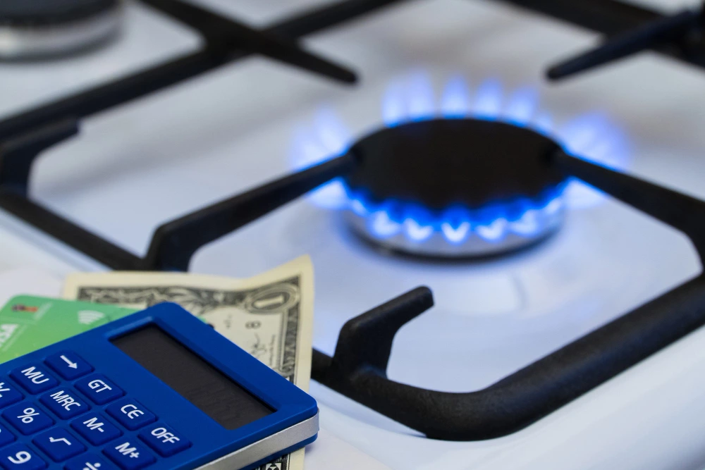 Consumo por vivienda de gas consumo de gas por vivienda