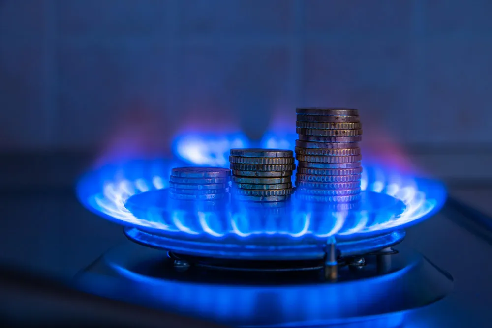 promedio gasto gas casa